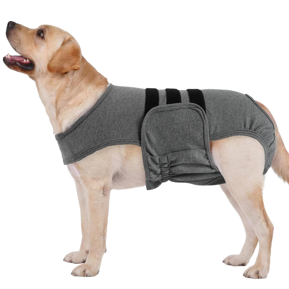 LeLePet culotte chienne face grise montrant protection et confort