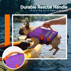 LeLePet détail mousse haute densité offrant flottabilité stable