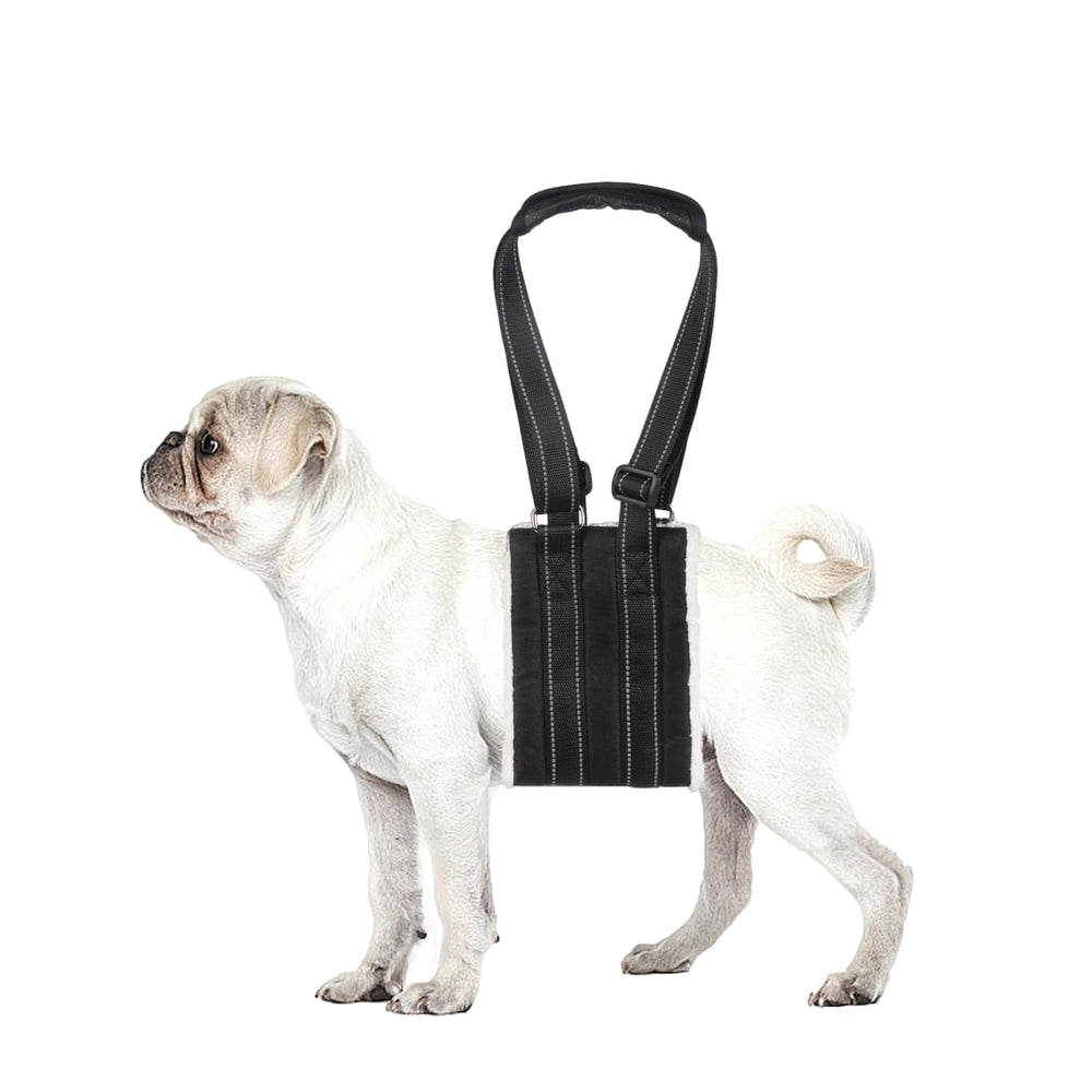lenpestia harnais face avant montrant maintien confortable