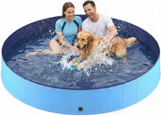 Lesguyor piscine ouverte vue de face montrant l'espace pour plusieurs animaux