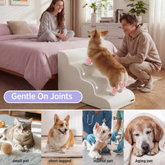 LE SURE chien monte sur canapé avec escalier pour protection articulaire