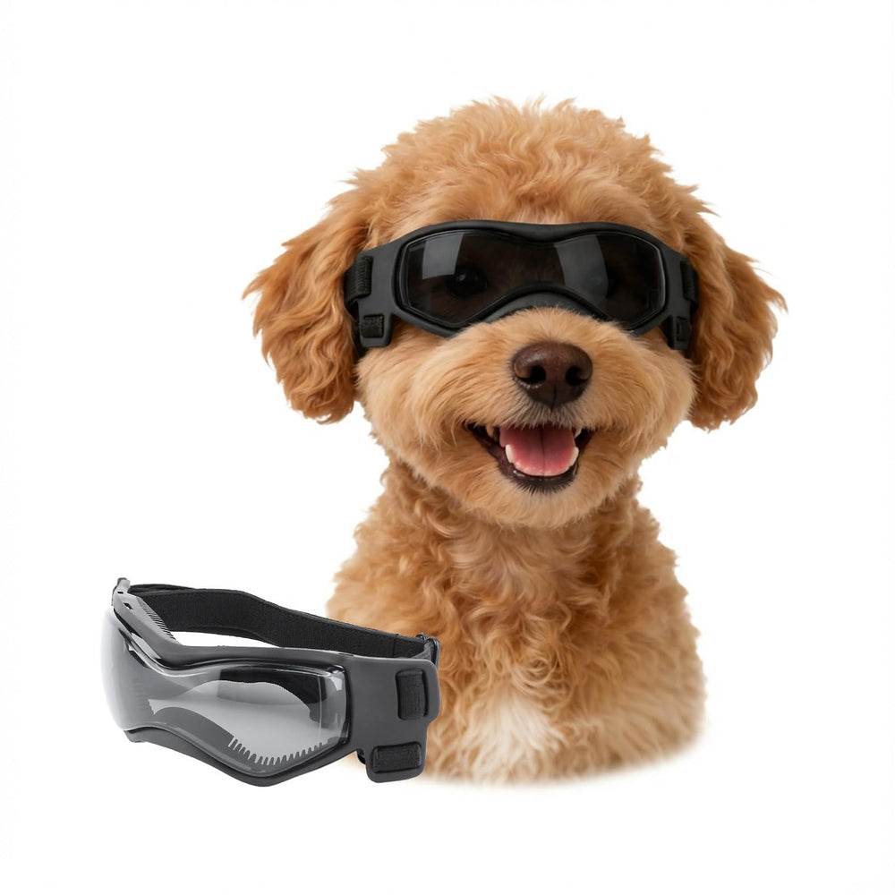 LESYPET lunettes face avant montrant protection et style