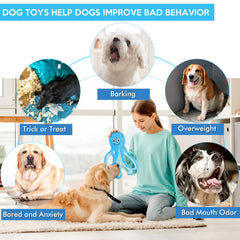 Letsmeet jouet en usage avec chiot qui mord, favorise activité physique et lien