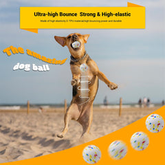 LIEVUIKEN chien rapportant la balle pour exercice et stimulation