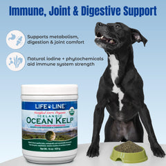Life Line pot 16 oz posé à côté d’un ruban métrique pour évaluer la taille
