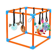 Liitrton vue avant du gym pour chiots, design compact et attrayant