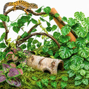 LIKZINWA vue générale du kit décor jungle apportant complexité et abris
