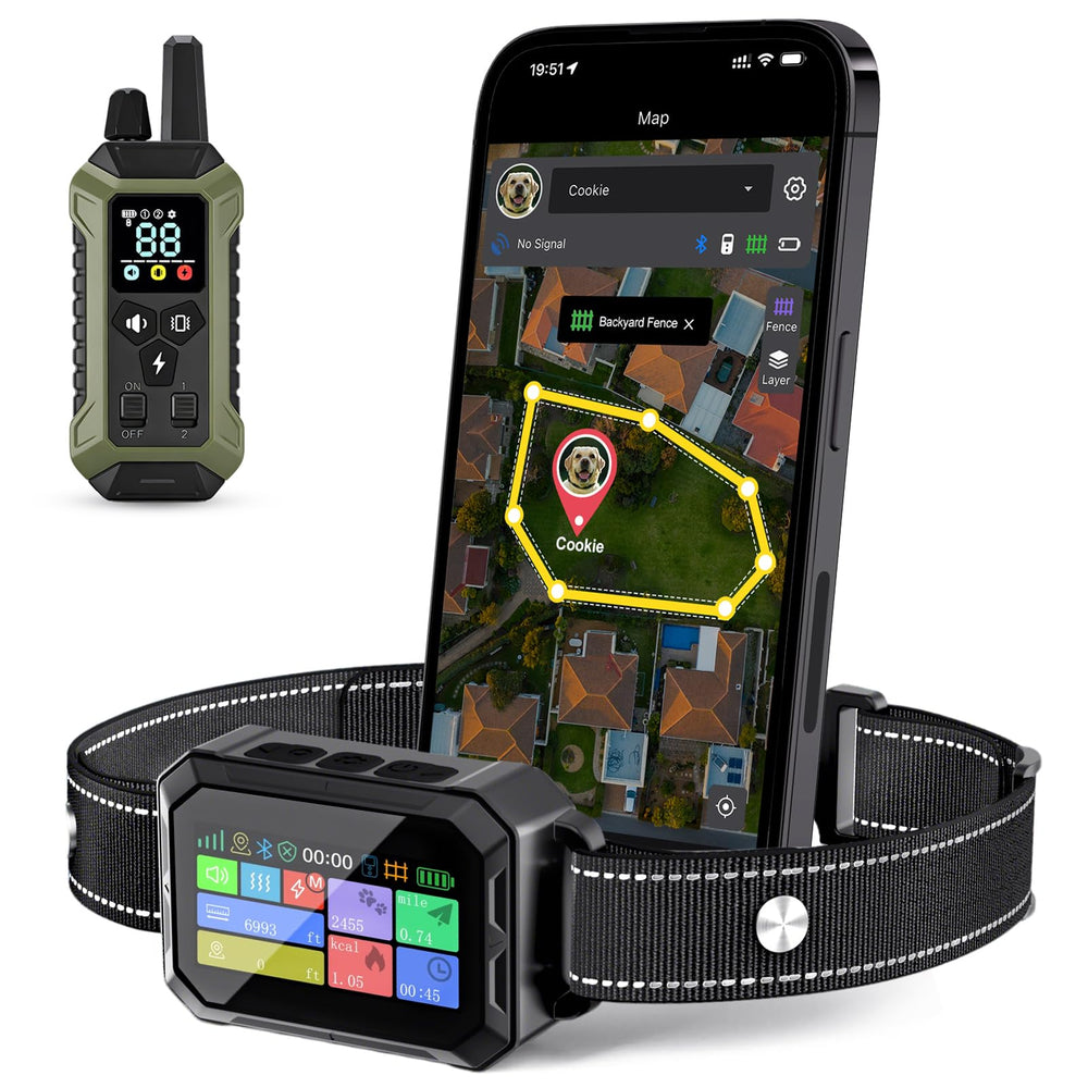 Lilyeel collier GPS vue avant montrant design compact et sécurité
