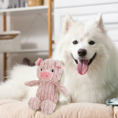 Linzy cochon chien jouant active stimulation et interaction