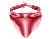 Lionet Paws bandana avant sur chien, look soigné et confortable
