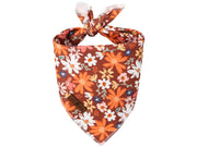lionet paws bandana face motif oxalis élégant et visible