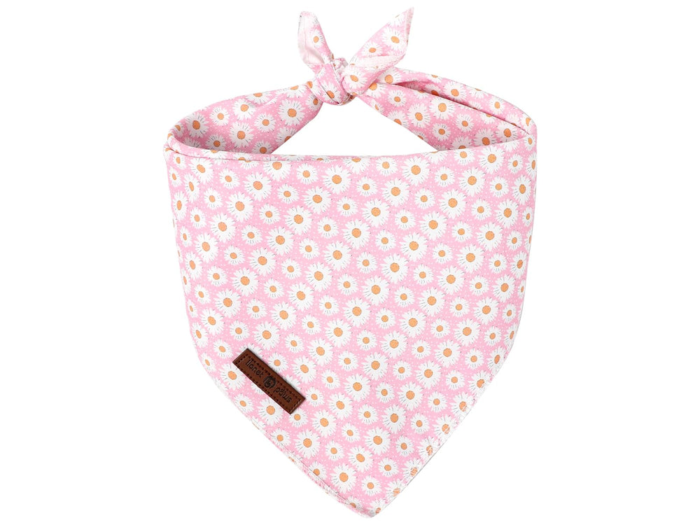 Lionet Paws bandana avant montrant motif marguerite et style élégant