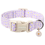 lionet paws collier floral devant montrant design et confort