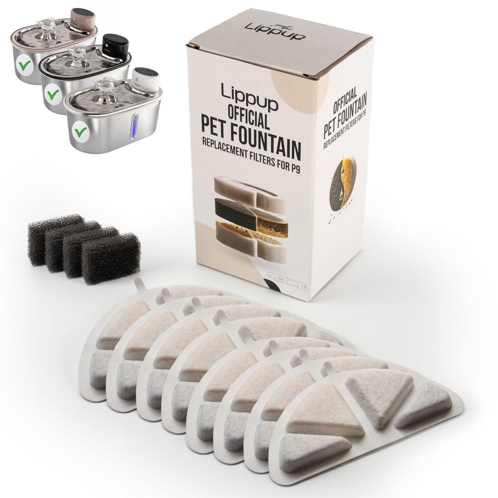 LIPPUP pack de 8 filtres montrant l'emballage et la quantité, conservation pratique
