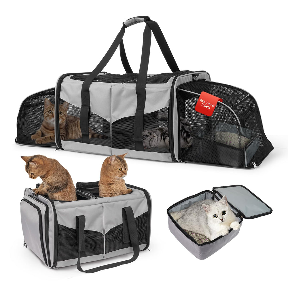 LitaiL vue avant du transporteur, protection et confort visibles