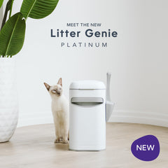 Litter Genie finition inox vue rapprochée montrant robustesse et facilité nettoyage