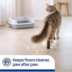 Litter Pearls dans un bac utilisé par un chat illustrant contrôle des odeurs