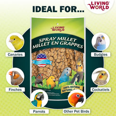 Living World spray millet accroché dans une cage pour divertissement