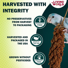 Living World gros plan des grains offrant texture et appétence naturelle
