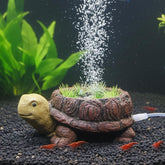 LIYAOLI tortue face avant montrant bulles et décor durable