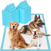 LNWJSRX frontale montrant le tapis extra large et protection immédiate