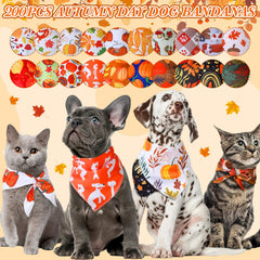 Locmeo chiot portant bandana automnal pour photos festives