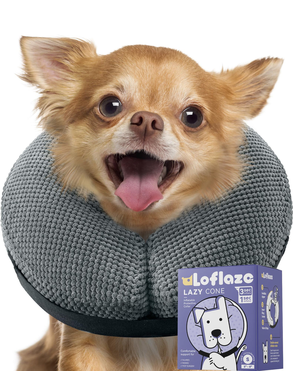 Loflaze collier donut face avant montrant maintien et confort