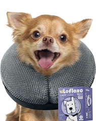 Loflaze collier donut face avant montrant maintien et confort