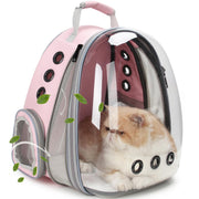 LOLLIMEOW face avant avec bulle, visibilité sûre pour l'animal