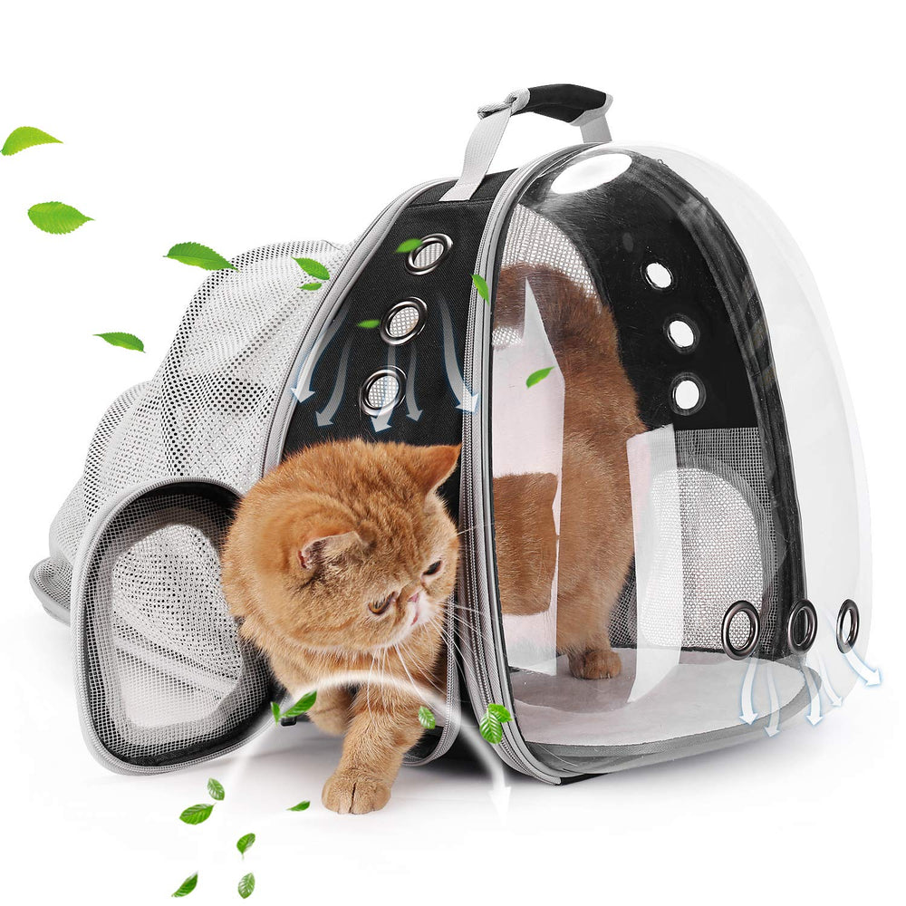 Lollimeow vue avant du sac à dos bulle, protège et transporte en toute sécurité