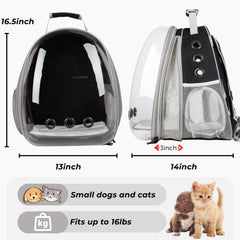 LOLLIMEOW intérieur avec coussinet assurant confort et stabilité