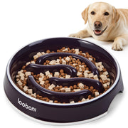 LOOBANI vue frontale du bol montrant la forme et le style durable