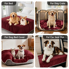 LOOBANI plaid utilisé sur canapé par un chien confortable et protégé