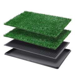 LOOBANI vue face avant du tapis herbe pour un apprentissage propre