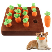 LORGVEXN pack face avant montrant le tapis et 12 carottes, divertissement assuré