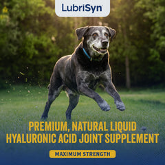 LubriSyn versement sur nourriture illustrant administration facile quotidienne