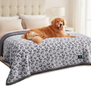 Luciphia couverture face avant montrant protection et style