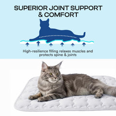 Luciphia chien couché utilisant le tapis pour rester au frais