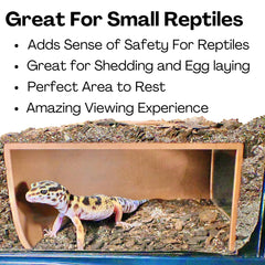 Lucky Critter reptile installé dans la grotte illustre confort et comportement naturel observé