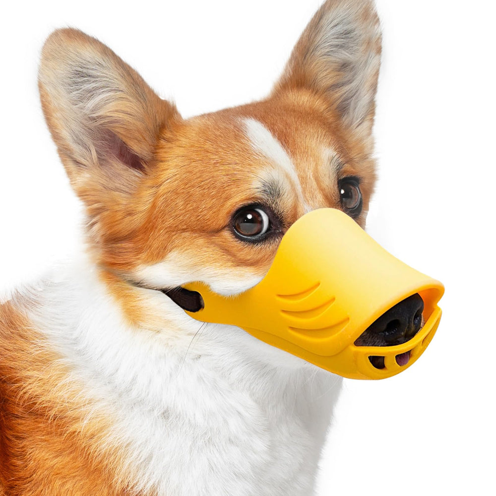 LUCKYPAW museau avant montrant la forme ergonomique et confort