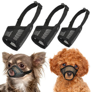 LUCKYPAW museau face avant montrant coupe ajustée et confort