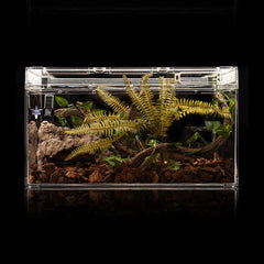 LUCOSIU placée en angle de terrarium économise espace et augmente surface utile