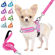 Lukovee harnais petit chien face montrant coupe confortable et ajustable