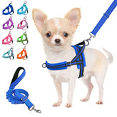 Lukovee harnais petit chien vue avant pour maintien sûr