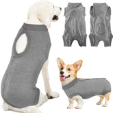 Lukovee vue avant sur chien montrant protection complète et confort