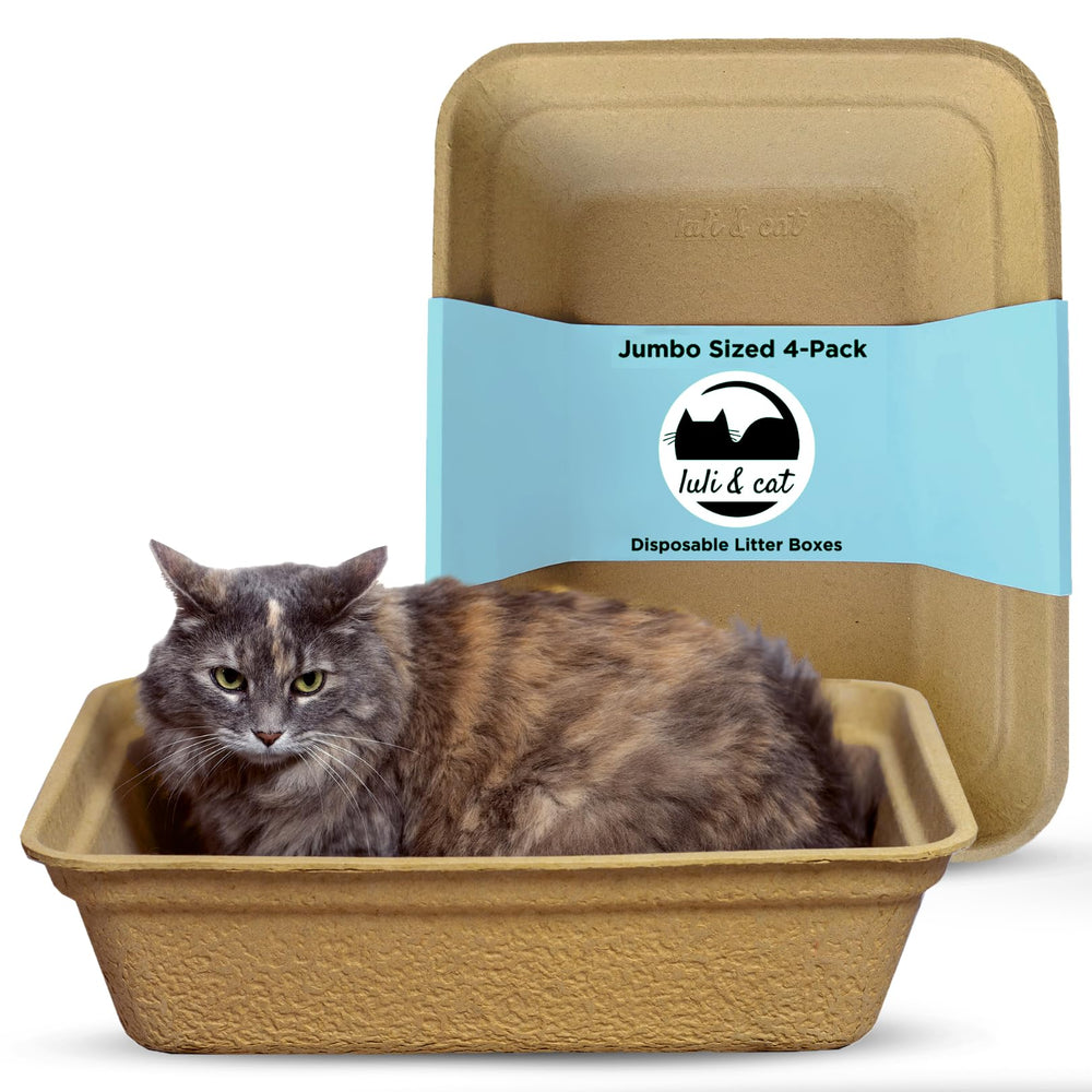 Luli & Cat bac jumbo vu de face montrant robustesse et capacité