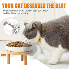 Lusifaco gros plan céramique hygiénique facile à nettoyer