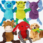 Luudoogs emballage du pack 5 animaux montrant valeur et variété