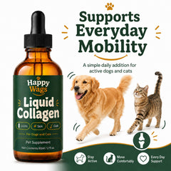 Luxloe HappyWags pipette en usage versant collagène sur la nourriture