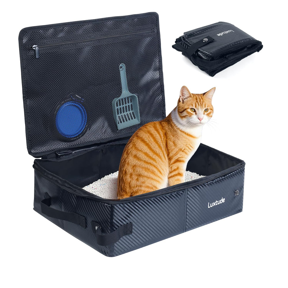 Luxtude vue avant du bac pliable pour transport et confort